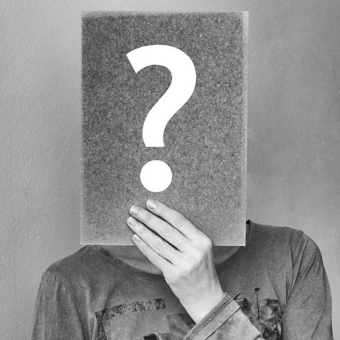 Bangert Support Hotline